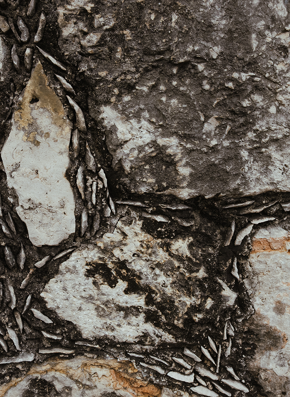 Trama Yucatán - Imagen 1