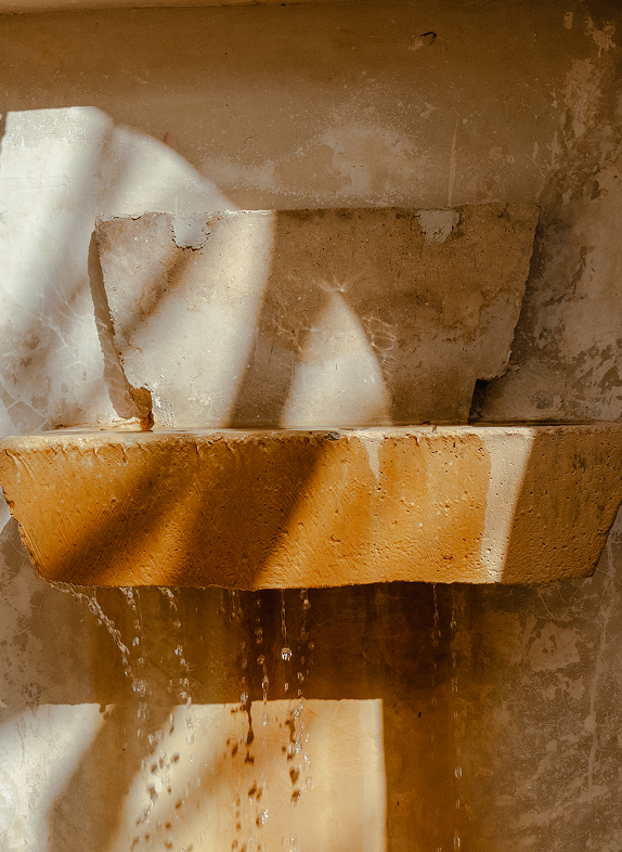 Trama Yucatán - Imagen 4