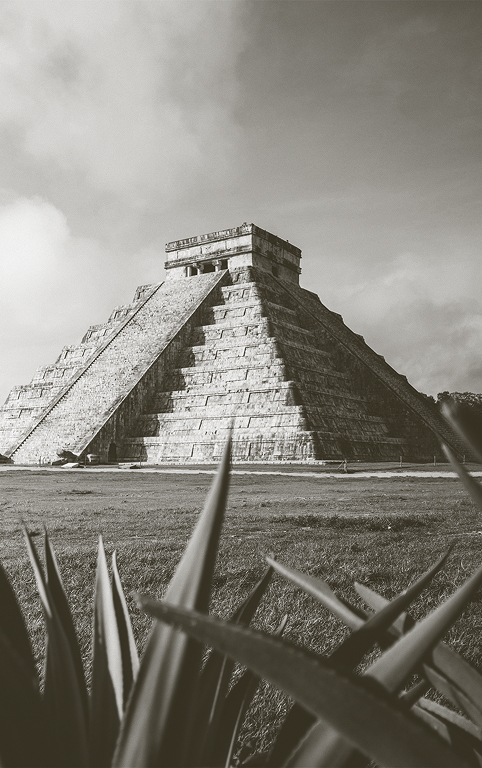 Nature and gardens in Yucatecan haciendas